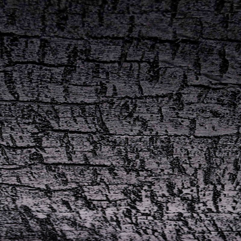 Burned Wood